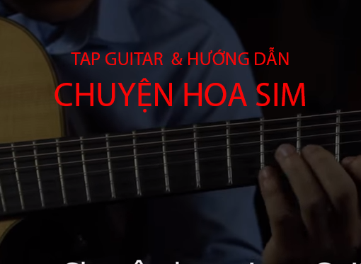 Tap guitar và hướng dẫn solo Chuyện Hoa Sim